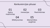 Konkurencija. Pristatymai 8 puslapis