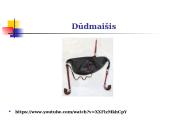 Lietuvių ir kitų pasaulio tautų tradiciniai instrumentai ir instrumentinė muzika 12 puslapis