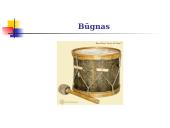 Lietuvių ir kitų pasaulio tautų tradiciniai instrumentai ir instrumentinė muzika 15 puslapis