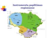 Lietuvių ir kitų pasaulio tautų tradiciniai instrumentai ir instrumentinė muzika 19 puslapis