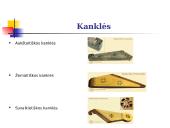 Lietuvių ir kitų pasaulio tautų tradiciniai instrumentai ir instrumentinė muzika 9 puslapis