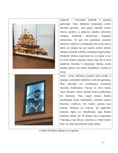 Reklamų / prekės ženklų analizė psichologijos požiūriu 10 puslapis