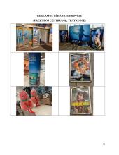 Reklamų / prekės ženklų analizė psichologijos požiūriu 11 puslapis