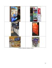 Reklamų / prekės ženklų analizė psichologijos požiūriu 13 puslapis