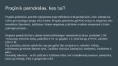 Proginis pamokslas 2 puslapis