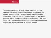 Audinių ir organų transplantavimas 4 puslapis
