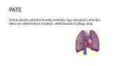 Plaučių embolija 6 puslapis