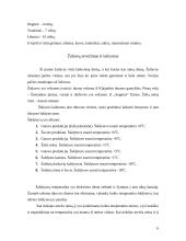 Įmonės veiklos analizė: kavinė–baras "Saldusis biskvitas" 6 puslapis