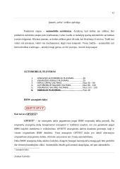 Įmonės veiklos apžvalga: UAB "Nelss" 12 puslapis