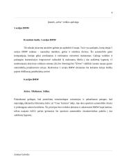 Įmonės veiklos apžvalga: UAB "Nelss" 4 puslapis