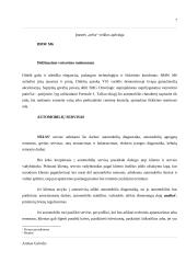 Įmonės veiklos apžvalga: UAB "Nelss" 7 puslapis