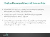 Muzikinė vaikų veikla: ritmika ir muzikos klausymas 3 puslapis