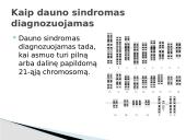 Dauno sindromas (skaidrės pristatymui) 2 puslapis