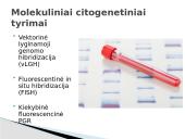 Dauno sindromas (skaidrės pristatymui) 3 puslapis
