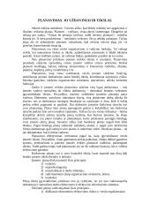 Įmonės veikla ir veiklos planavimas 2 puslapis