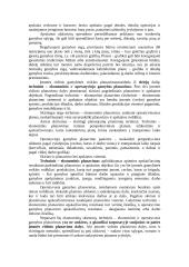 Įmonės veikla ir veiklos planavimas 12 puslapis