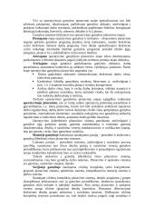 Įmonės veikla ir veiklos planavimas 13 puslapis