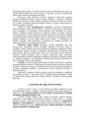 Įmonės veikla ir veiklos planavimas 14 puslapis