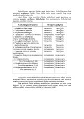 Įmonės veikla ir veiklos planavimas 16 puslapis