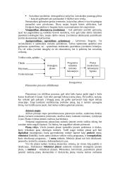 Įmonės veikla ir veiklos planavimas 4 puslapis