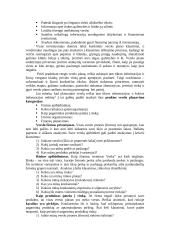 Įmonės veikla ir veiklos planavimas 7 puslapis