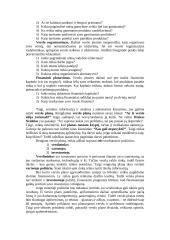 Įmonės veikla ir veiklos planavimas 8 puslapis