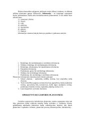 Įmonės veikla ir veiklos planavimas 10 puslapis