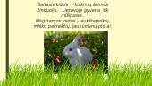 Baltasis kiškis 2 puslapis