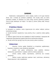 Įmonės veiklos rodiklių nagrinėjimas 2 puslapis