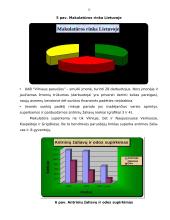 Įmonės veiklos rodiklių nagrinėjimas 12 puslapis