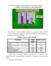 Įmonės veiklos rodiklių nagrinėjimas 13 puslapis