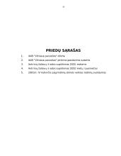 Įmonės veiklos rodiklių nagrinėjimas 19 puslapis