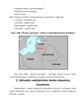 Įmonės veiklos rodiklių nagrinėjimas 5 puslapis