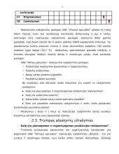 Įmonės veiklos rodiklių nagrinėjimas 8 puslapis