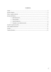 Įmonės vieta ūkyje 2 puslapis