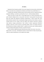 Įmonės vieta ūkyje 13 puslapis