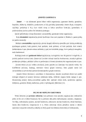 Įmonės vieta ūkyje 4 puslapis