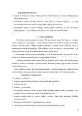 Įmonės vieta ūkyje 7 puslapis