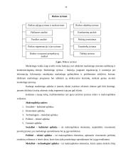 Įmonės vietos parinkimas 11 puslapis