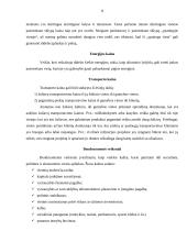 Įmonės vietos parinkimas 8 puslapis