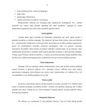 Įmonės vietos parinkimas 9 puslapis