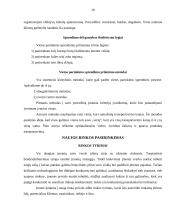Įmonės vietos parinkimas 10 puslapis