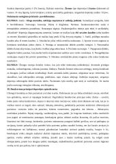 Psichikos slaugos egzaminas 12 puslapis