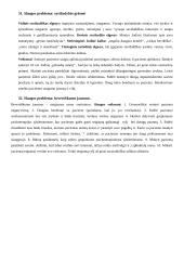 Psichikos slaugos egzaminas 13 puslapis