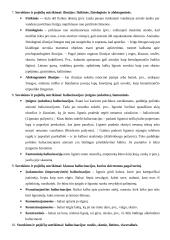 Psichikos slaugos egzaminas 3 puslapis