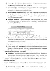 Psichikos slaugos egzaminas 4 puslapis