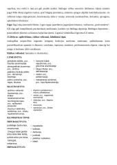 Psichikos slaugos egzaminas 10 puslapis