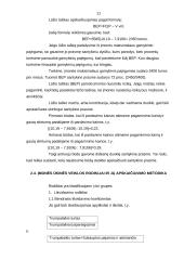 Įmonių finansai 11 puslapis