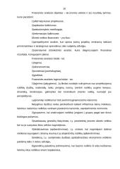 Įmonių finansai 15 puslapis