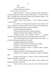 Įmonių finansai 17 puslapis
